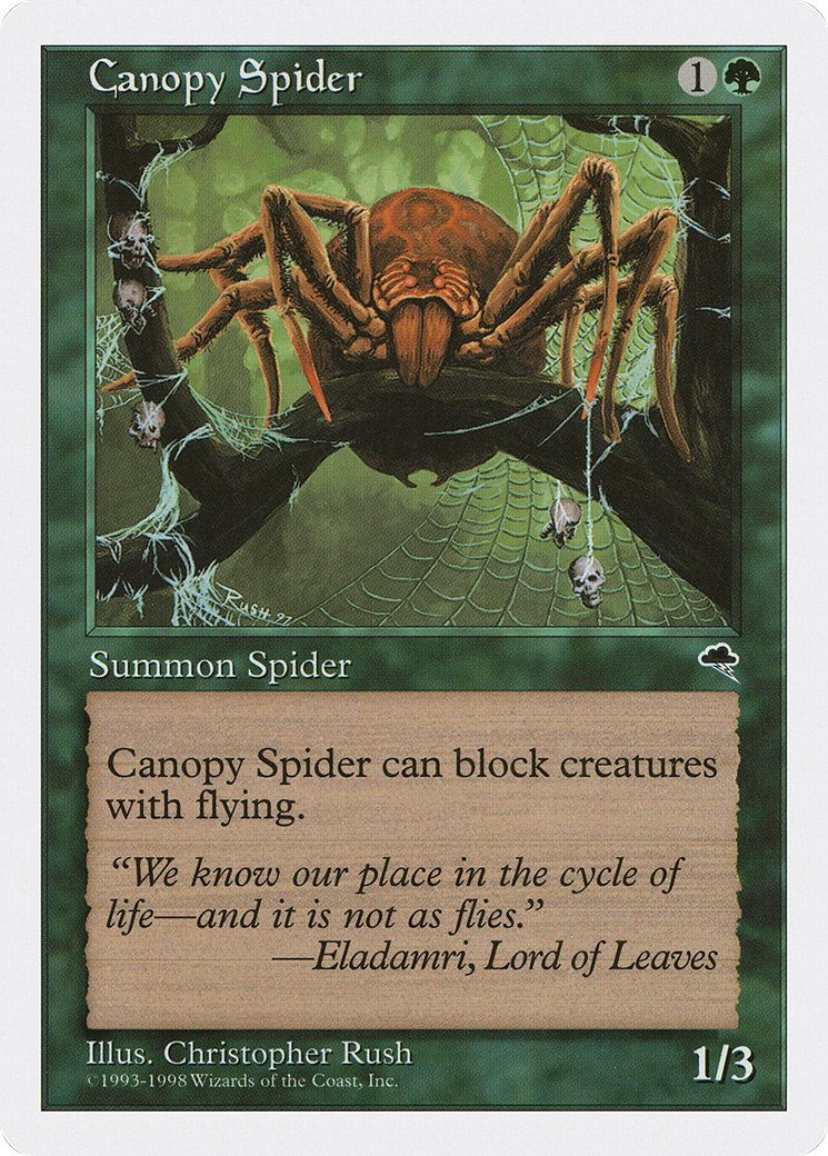 Canopy Spider Card Image