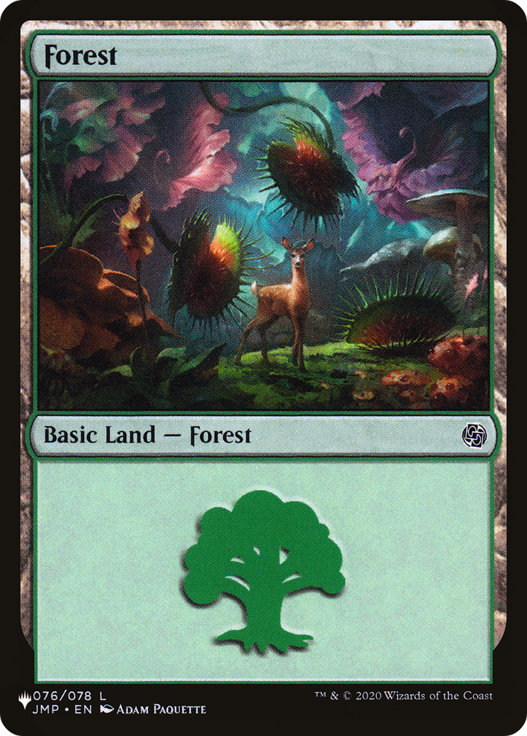 Forest Card Image