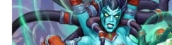 Baroness Vashj