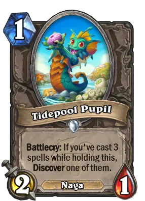 Tidepool Pupil Card Image