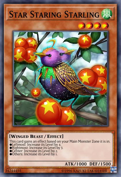 Star Staring Starling Card Image