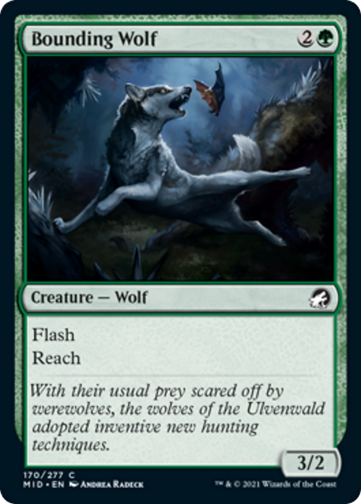 Bounding Wolf Card Image