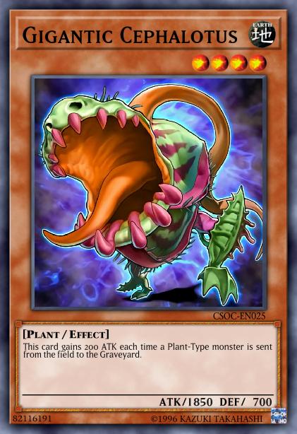 Gigantic Cephalotus Card Image