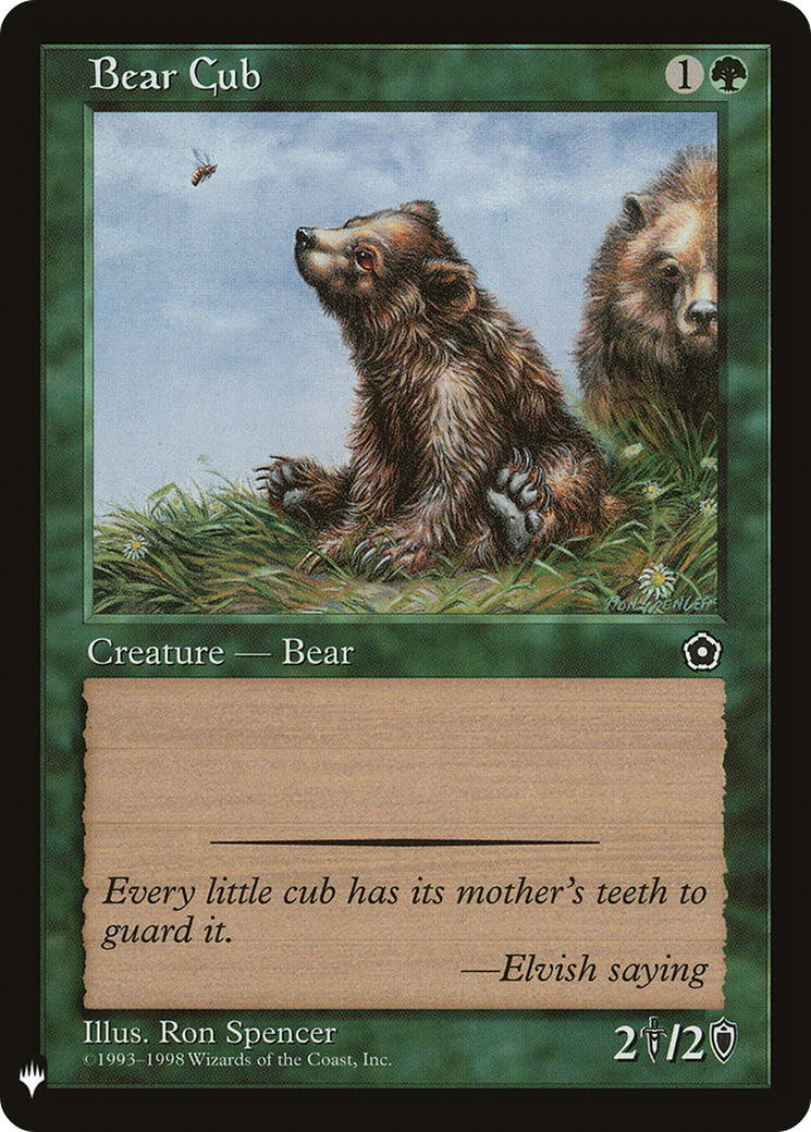 Bear Cub Card Image