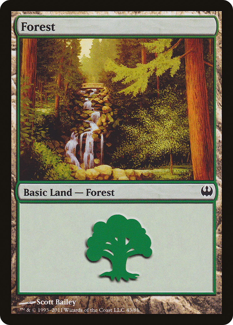 Forest Card Image