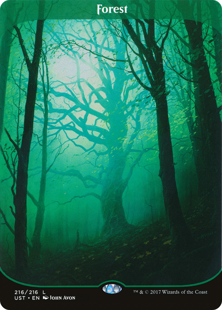 Forest Card Image