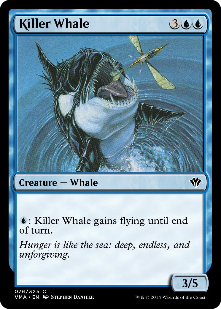 Killer Whale Card Image