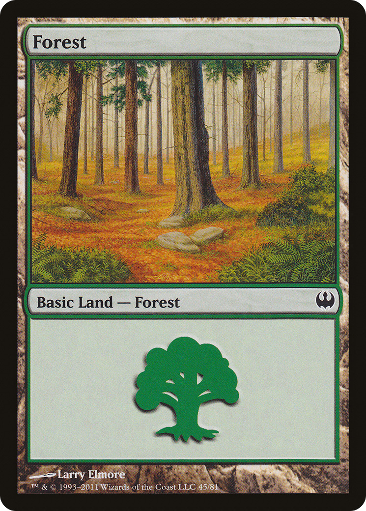 Forest Card Image