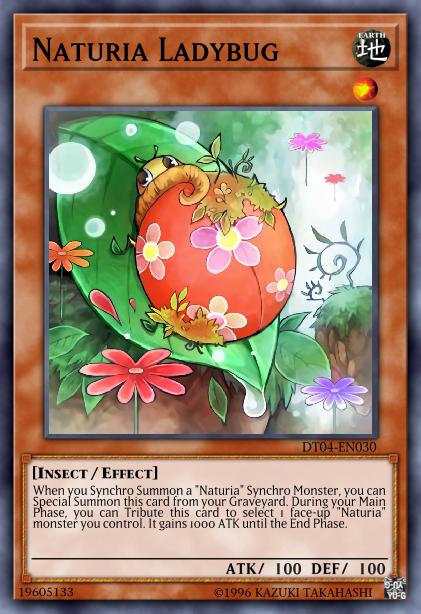 Naturia Ladybug Card Image