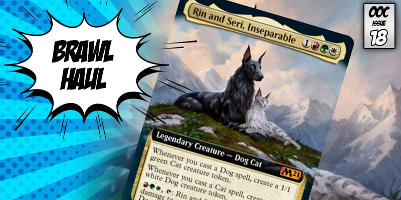 Brawl Haul - Unleashing the Cats and Dogs with Rin and Seri, Inseparable