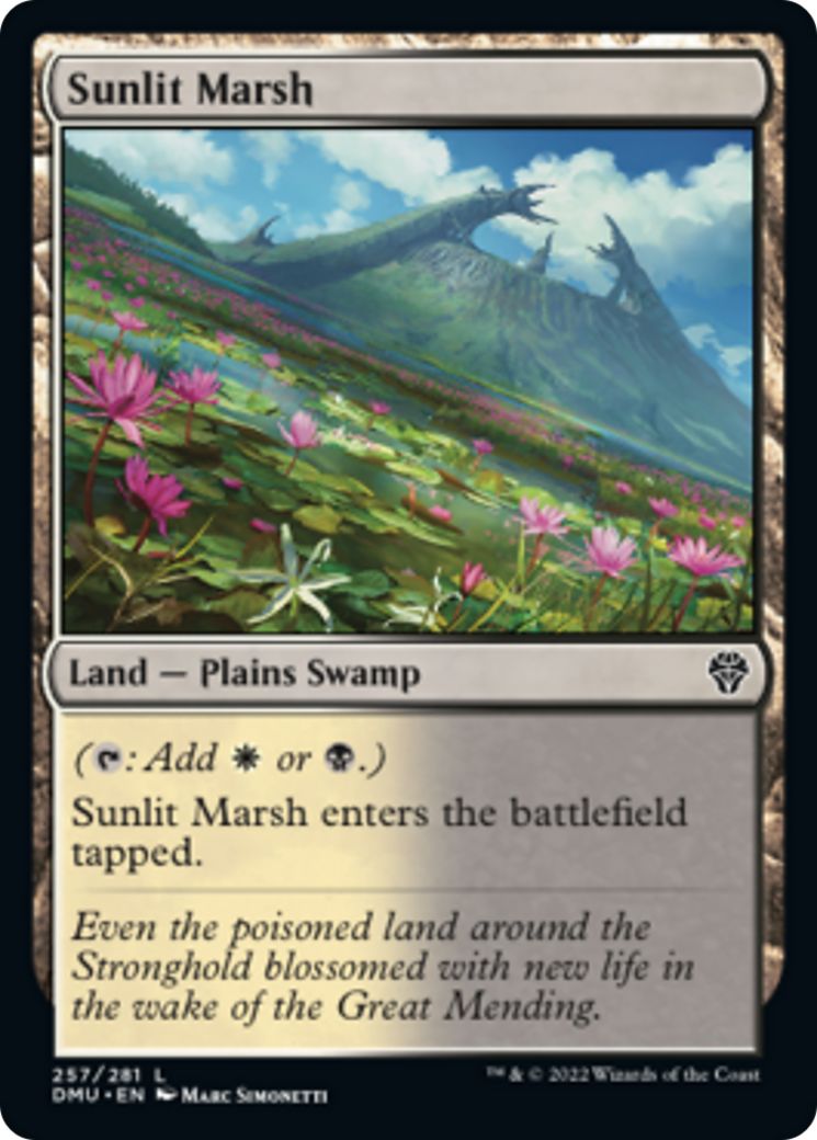 Sunlit Marsh Card Image