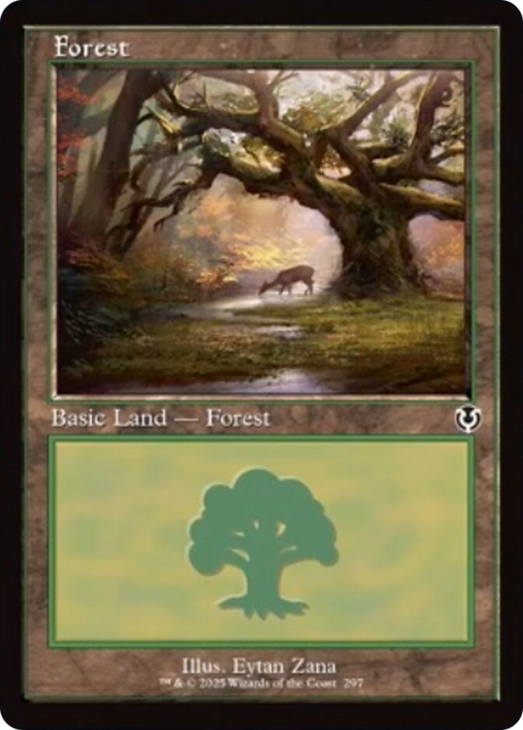 Forest Card Image