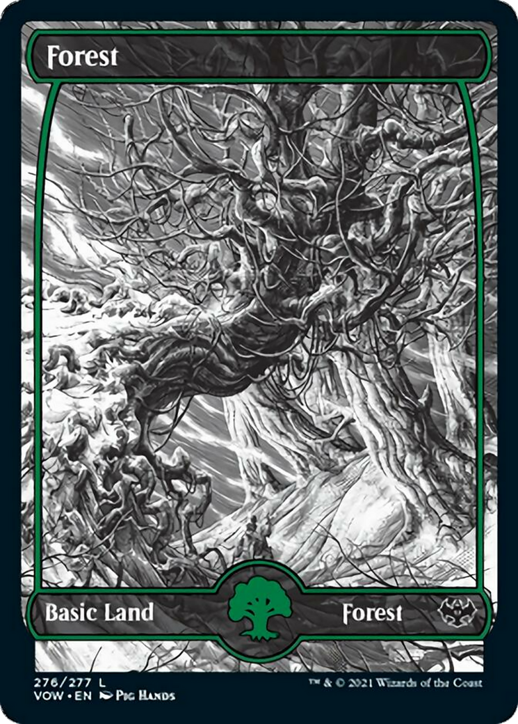 Forest Card Image