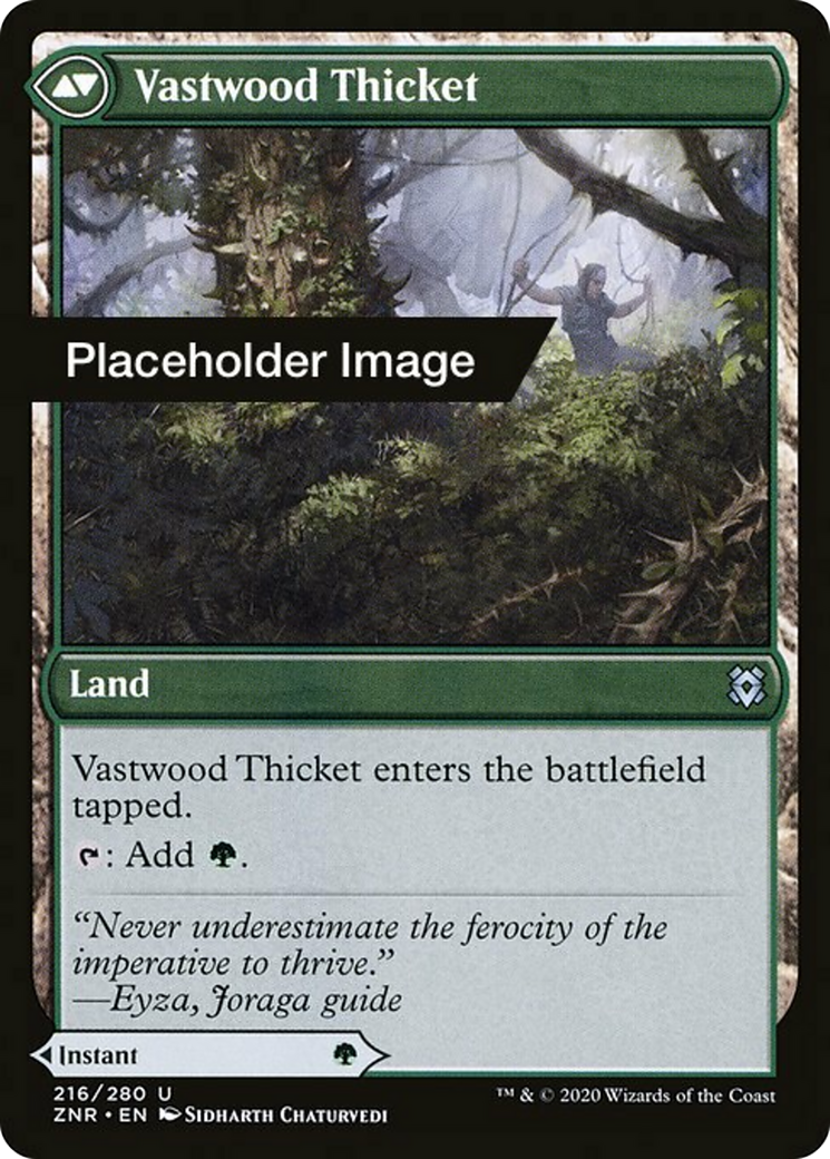 Vastwood Fortification // Vastwood Thicket Card Image