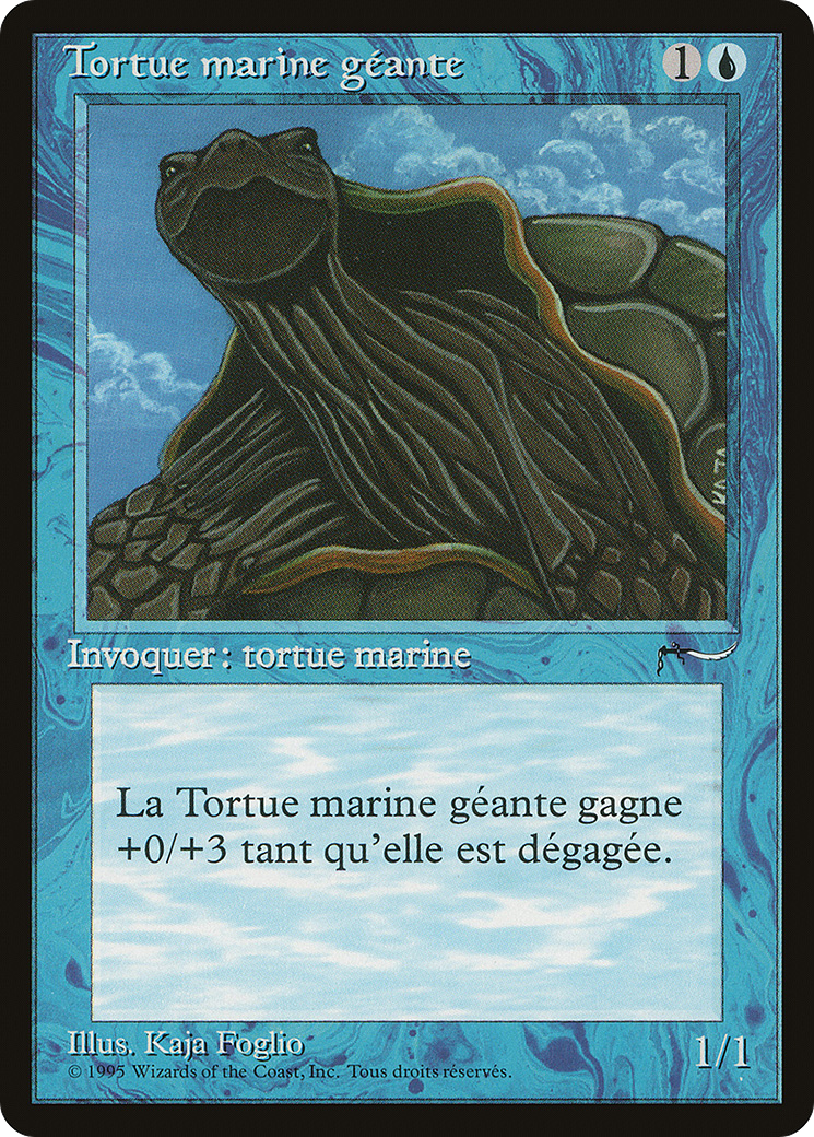 Giant Tortoise Card Image