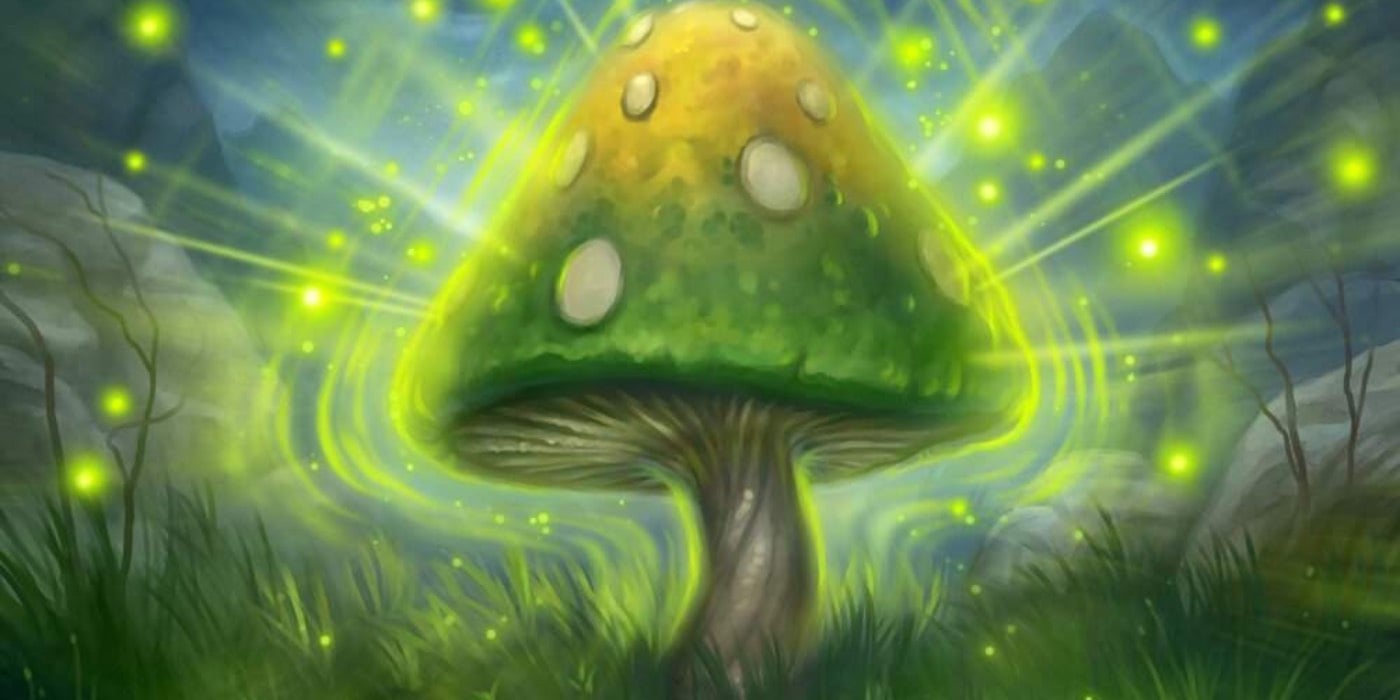 August 2021's End of the Month 12-Win Hearthstone Duels Decks