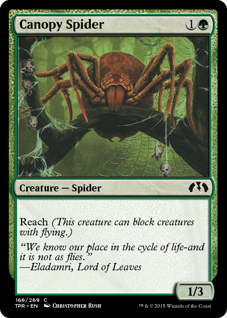 Canopy Spider Card Image
