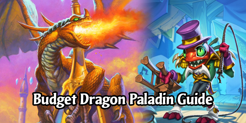 Dragon Paladin Budget Deck List & Guide - Hearthstone Budget Deck Breakdown