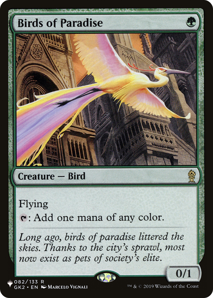 Birds of Paradise Card Image