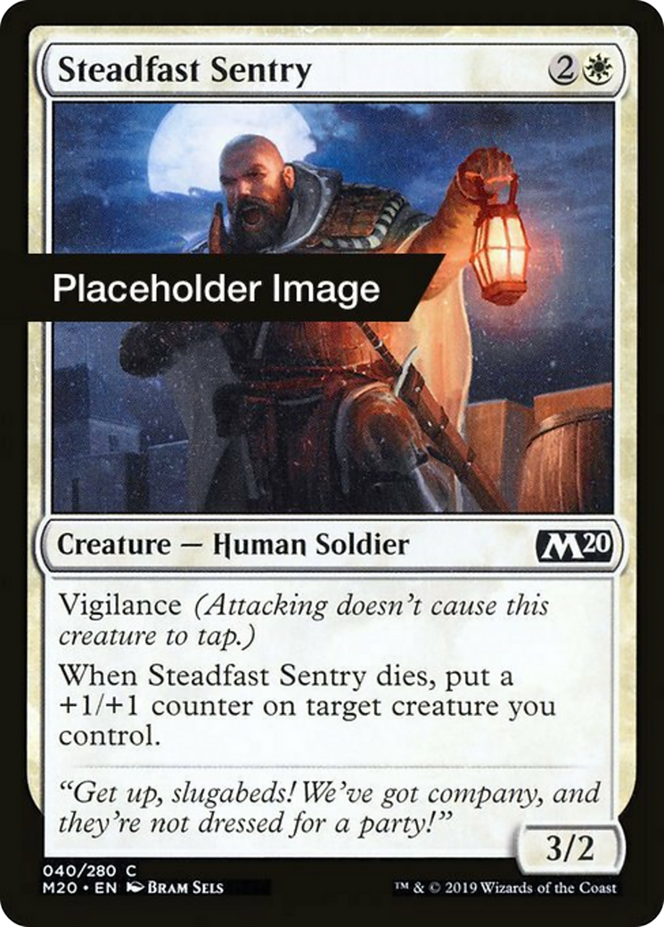Steadfast Sentry Card Image
