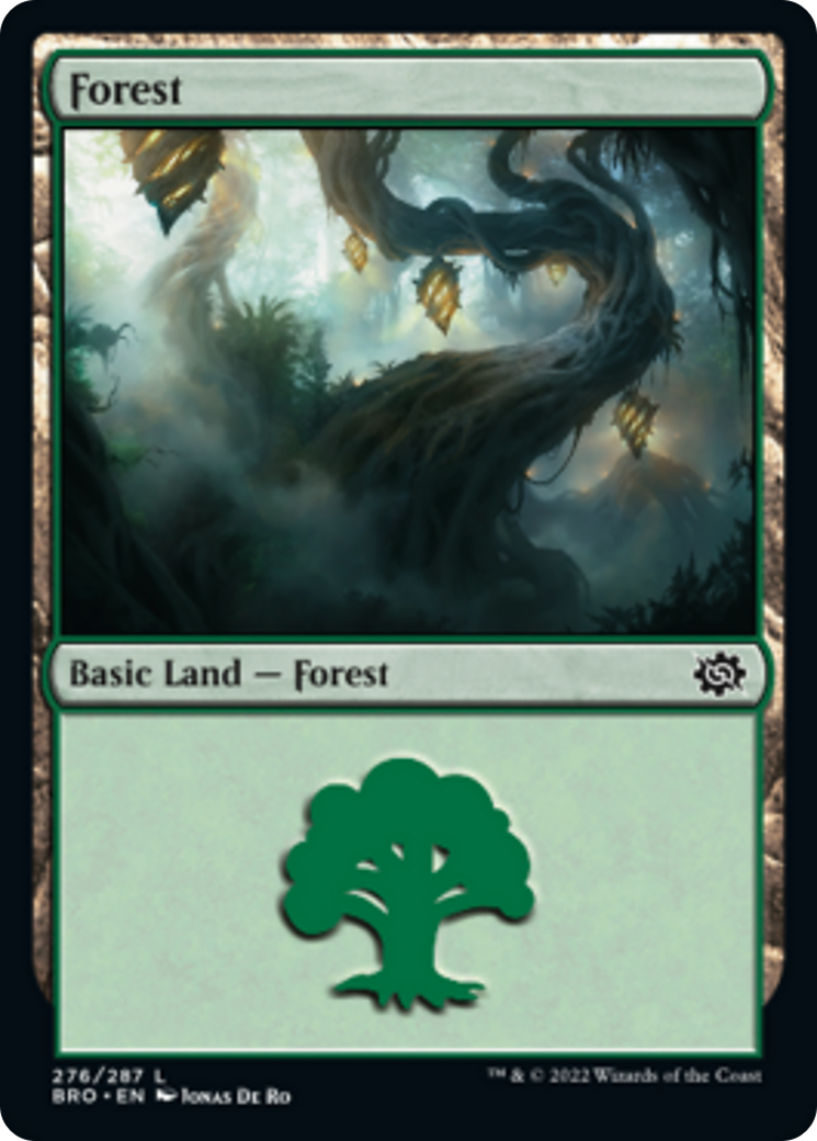 Forest Card Image