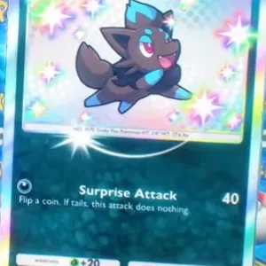 Zorua from Mega Shina