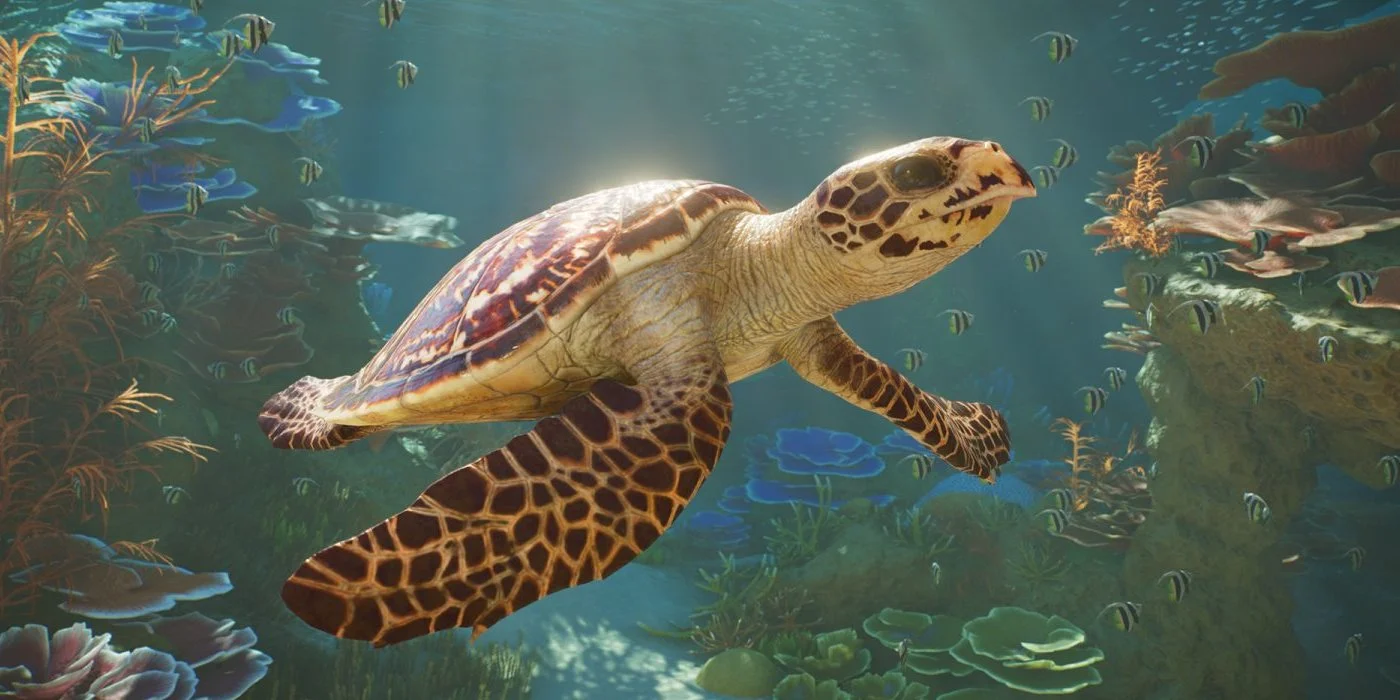 Planet Zoo 2 Releases October 13
