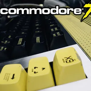 c77-11-v2