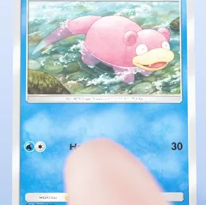 Slowpoke from Mega Shina